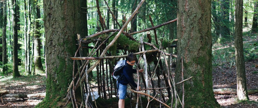 costruzione nel bosco in legno